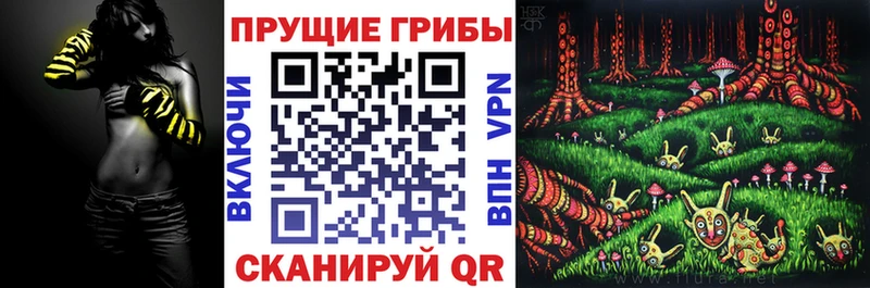 Псилоцибиновые грибы Magic Shrooms  Купить закладки  Котово 